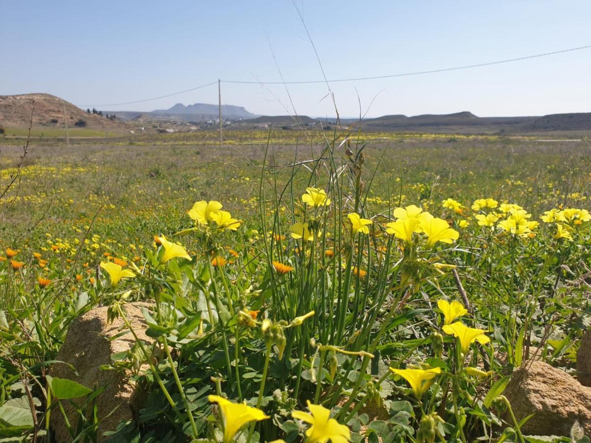 El Molino De Arriba Villa Níjar Kültér fotó