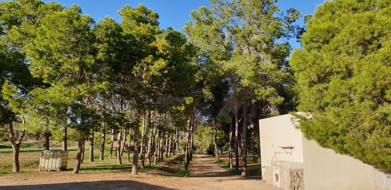 El Molino De Arriba Villa Níjar Kültér fotó