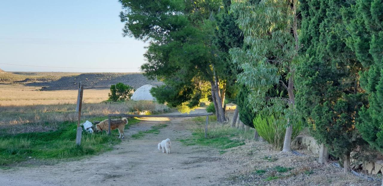 El Molino De Arriba Villa Níjar Kültér fotó