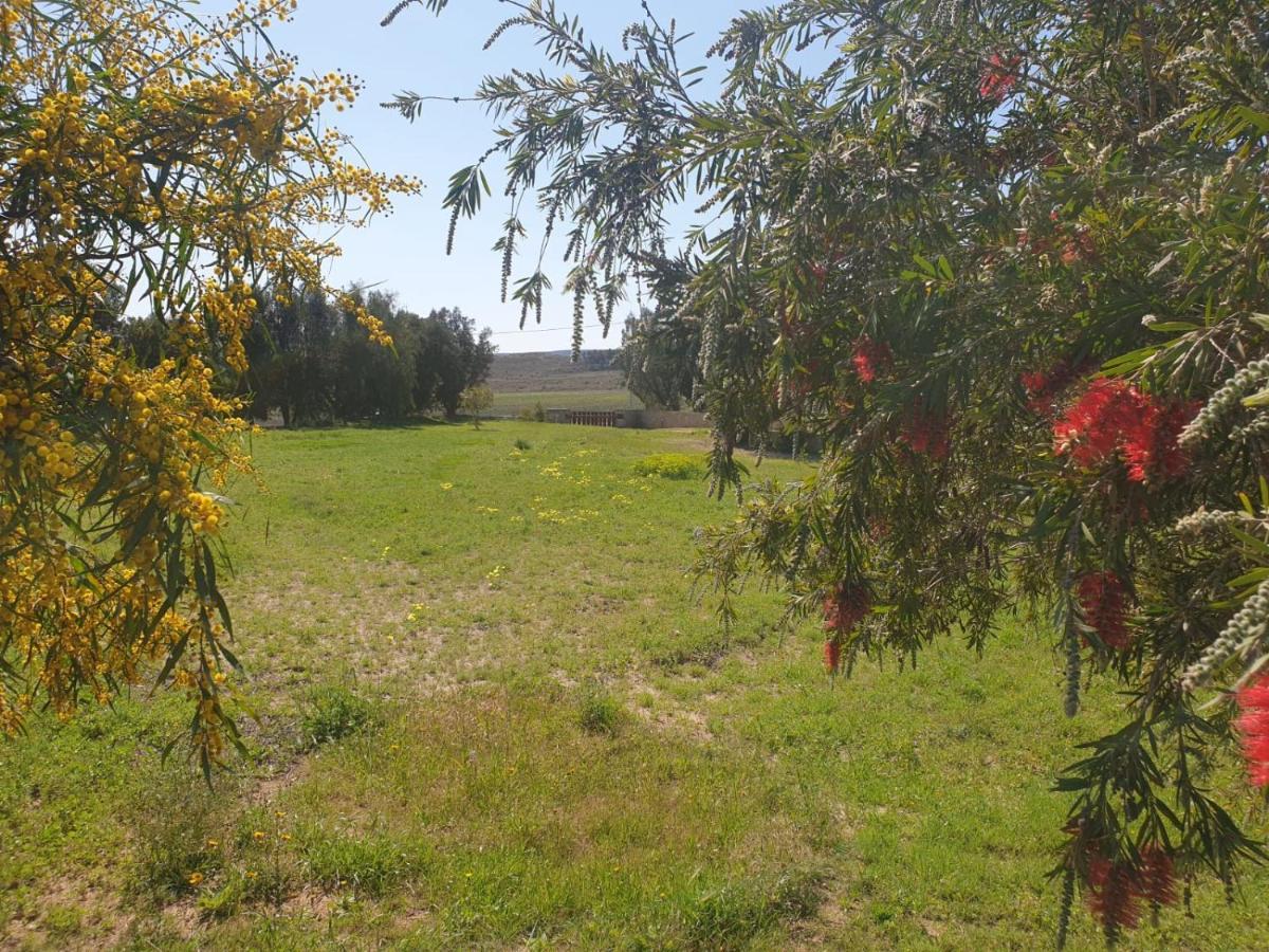 El Molino De Arriba Villa Níjar Kültér fotó