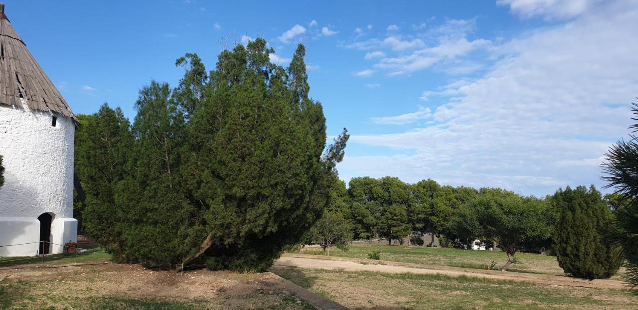 El Molino De Arriba Villa Níjar Kültér fotó